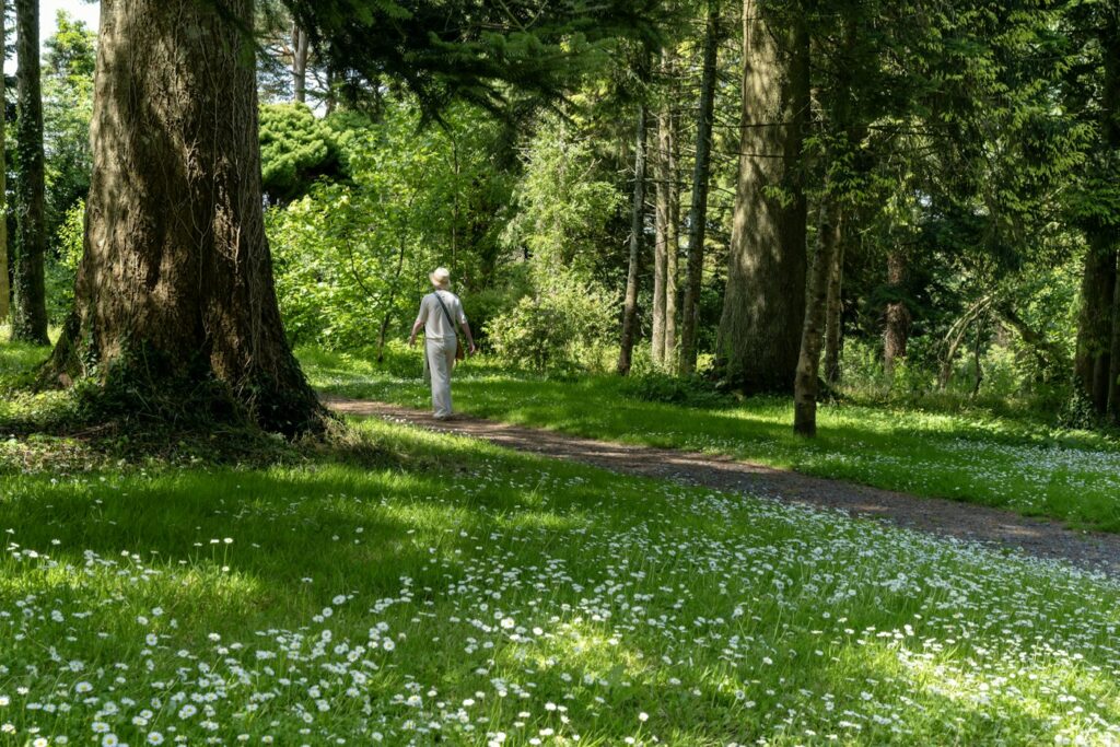 Person geht auf einem Waldweg spazieren, Alltagsbewegung zum Bauchfett verlieren