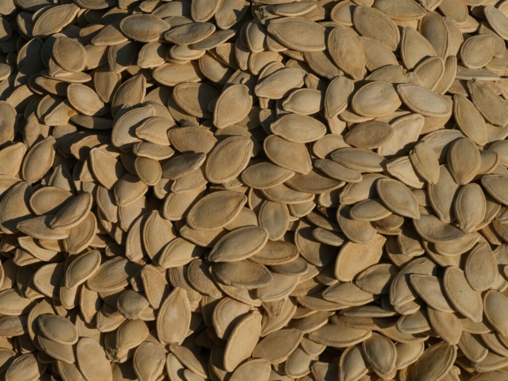 Haufen Kürbiskerne als eisenhaltige Lebensmittel für Müsli, Salat und Snacks