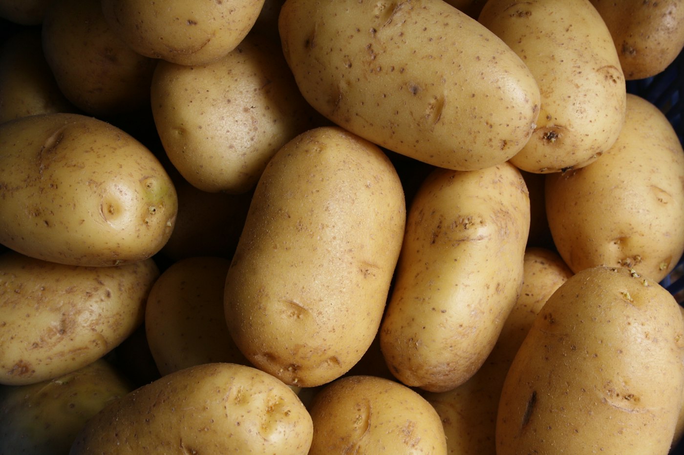 Frische braune Kartoffeln auf einem Haufen – Kartoffeln Kalorien im Überblick