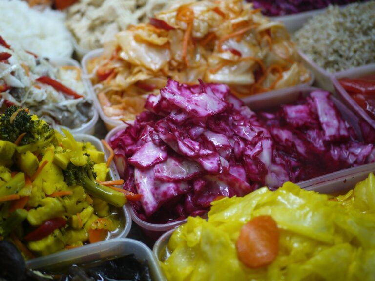 Buntes fermentiertes Gemüse in Behältern als Beispiel für probiotische Lebensmittel