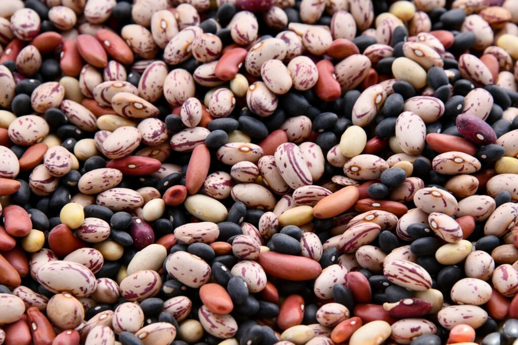 Bunte getrocknete Bohnen als pflanzliche proteinreiche Lebensmittel für vegane Ernährung
