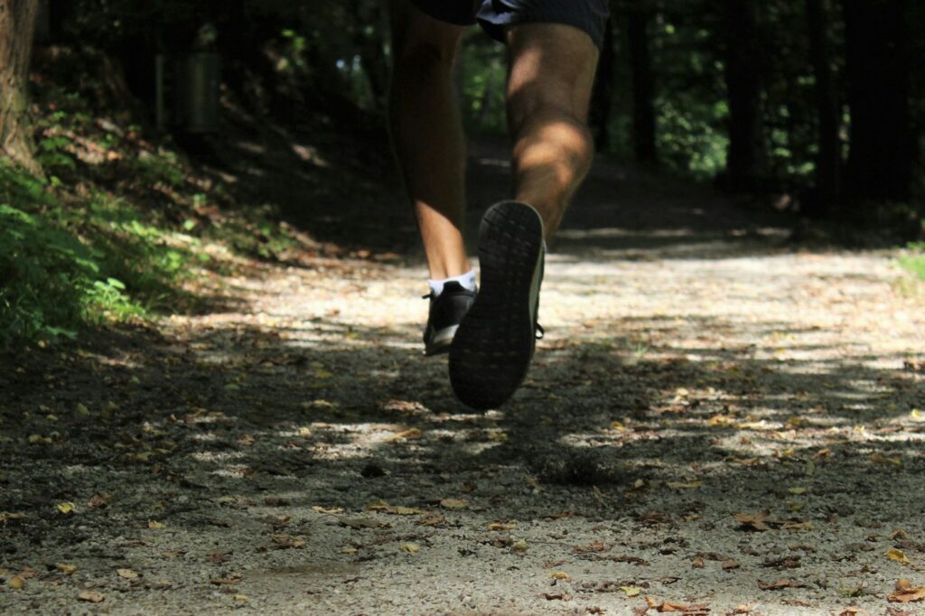 Laufschuhe im Wald als Ausrüstung für den Trainingsplan Halbmarathon