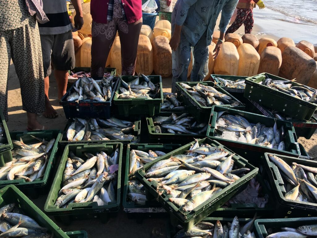 Frischer Fisch auf dem Markt als natürliche Quelle gegen Vitamin B12 Mangel Symptome